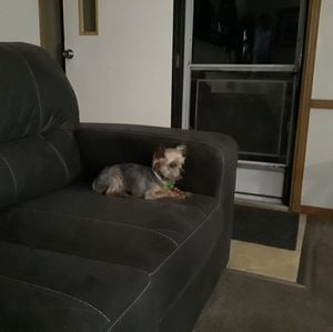 Meet your Posher, Nancy